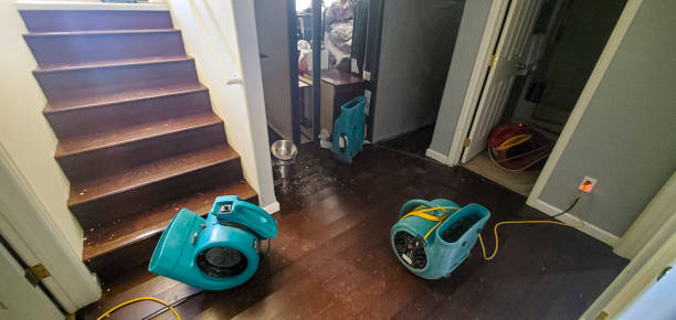 Best Carpet water damage restoration  in Lamar, TX