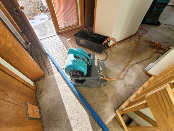Best Professional water damage repair  in Lamar, TX