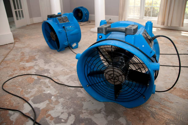 Best 24/7 water damage repair  in Lamar, TX