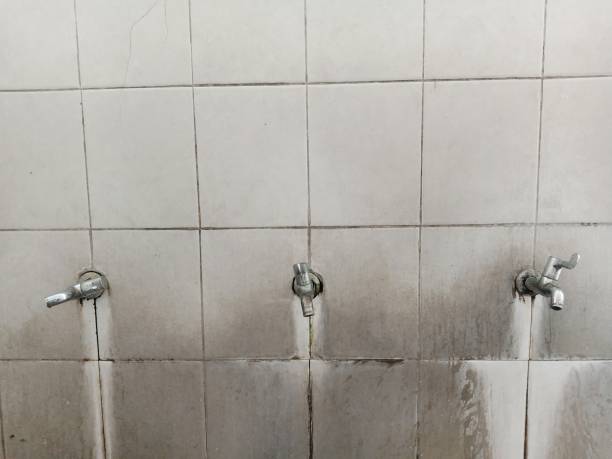 Best Carpet water damage restoration  in Lamar, TX