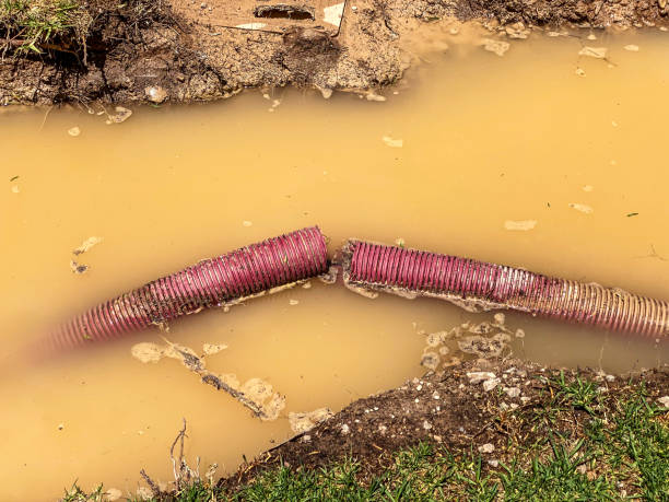 Best Residential water damage restoration  in Lamar, TX